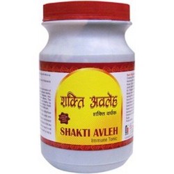 Shakti Avleh